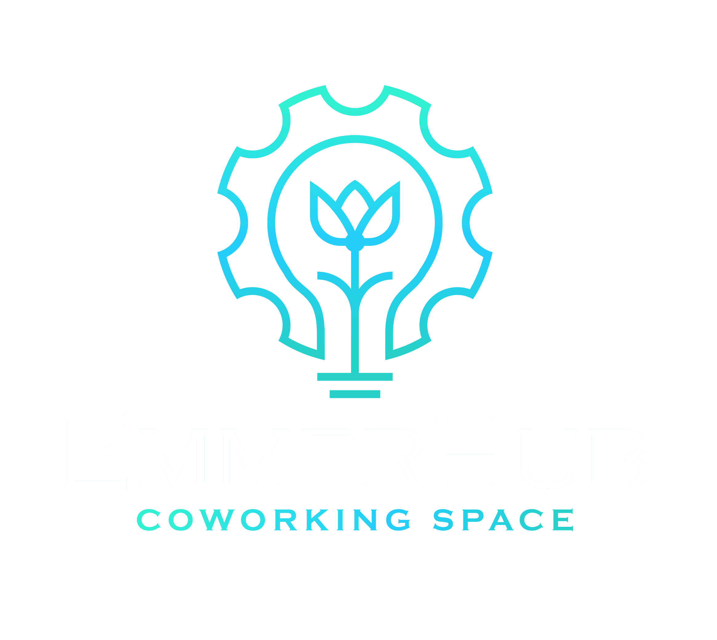 Emmerhub Logo