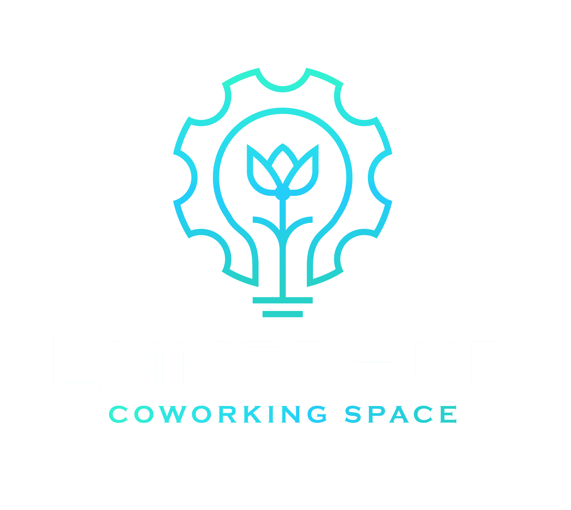 Emmerhub Logo